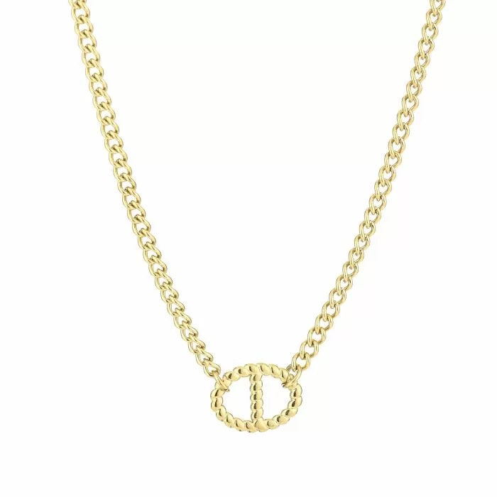 ketting- dubbel d goudkleurig