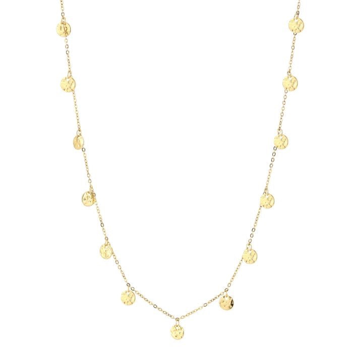 ketting met goudkleurige mini muntjes goudkleurig stainless steel