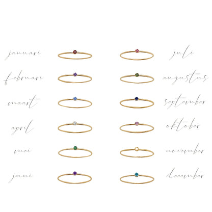 Gouden ringen met geboortestenen, geboortemaanden sieraden van Jewelrybyceline, stainless steel