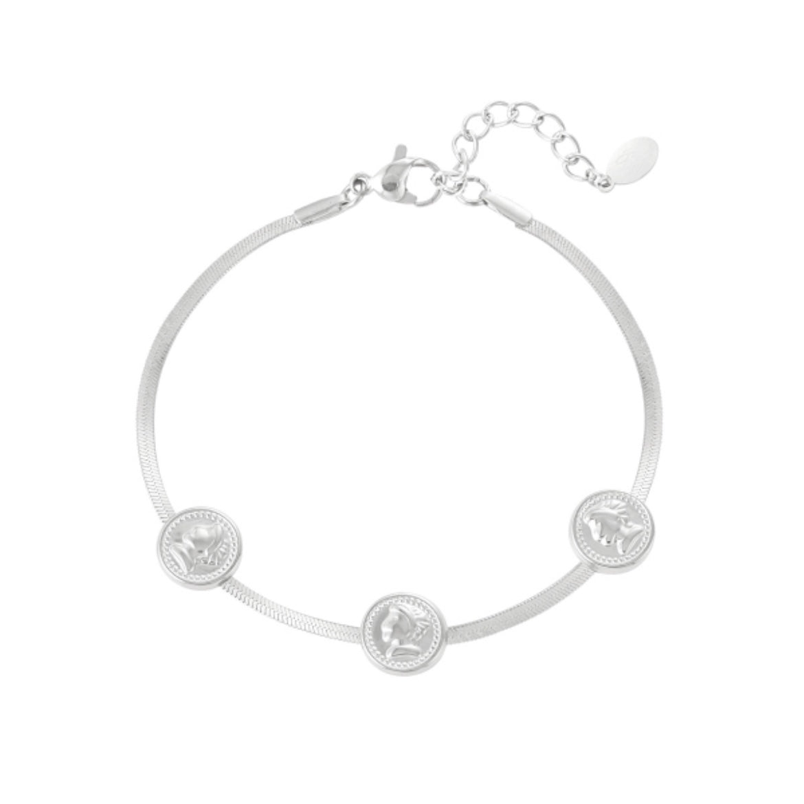 Armbandje- flat chain muntjes zilverkleurig