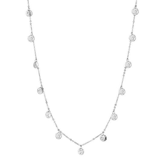 ketting met kleine zilverkleurige muntjes stainless steel