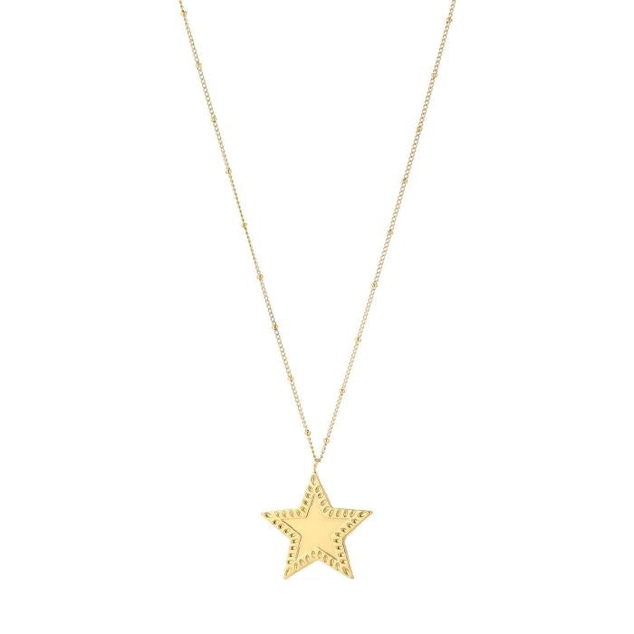 Lange goudkleurige stainless steel ketting met grote ster hanger