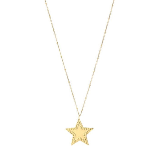 Lange goudkleurige stainless steel ketting met grote ster hanger